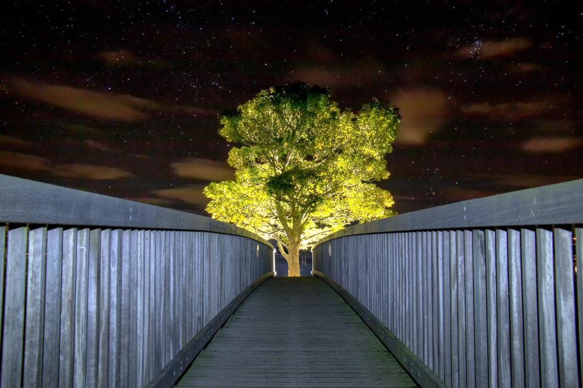 View across James's Bridge (© Stuart Forsyth)
